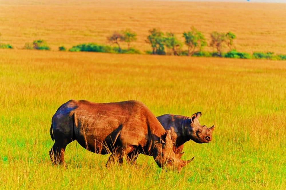 Bed and Breakfast Semadep Safari Camp Sekenani Екстер'єр фото